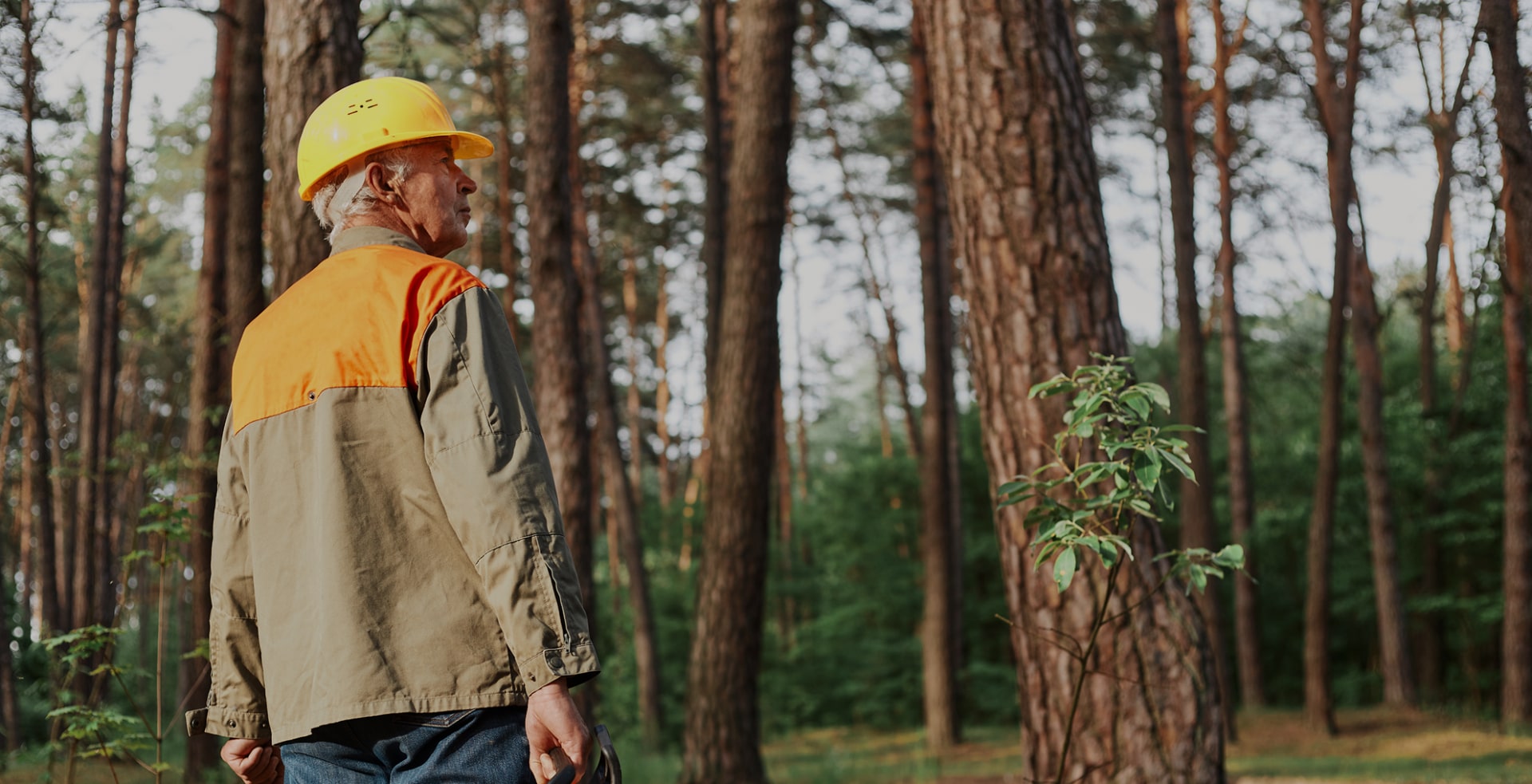 Cilvēks mežā ar ķiveri