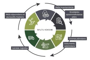 Meža apsaimniekošanas cikls