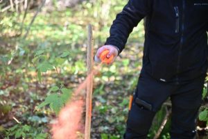 Meža robežu iezīmēšana