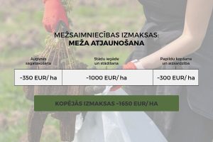 Izmaksas meža stādīšanai